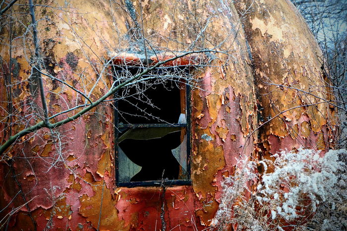 Deer Forest - January 2024 Photo From Dan Keeley (newer photo)